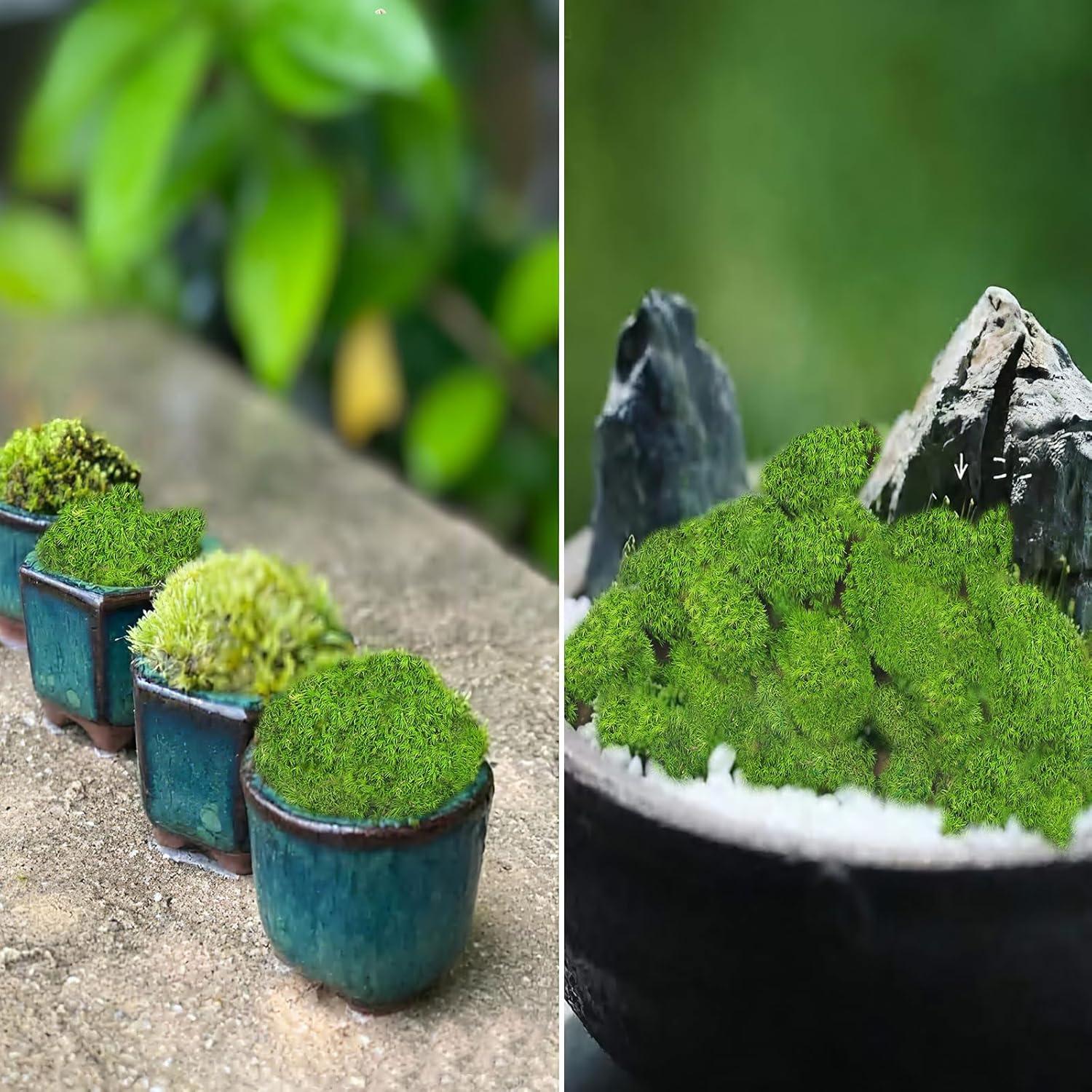 Almohadas de Musgo Verde FAICOIA 0.42 m² para Decoración