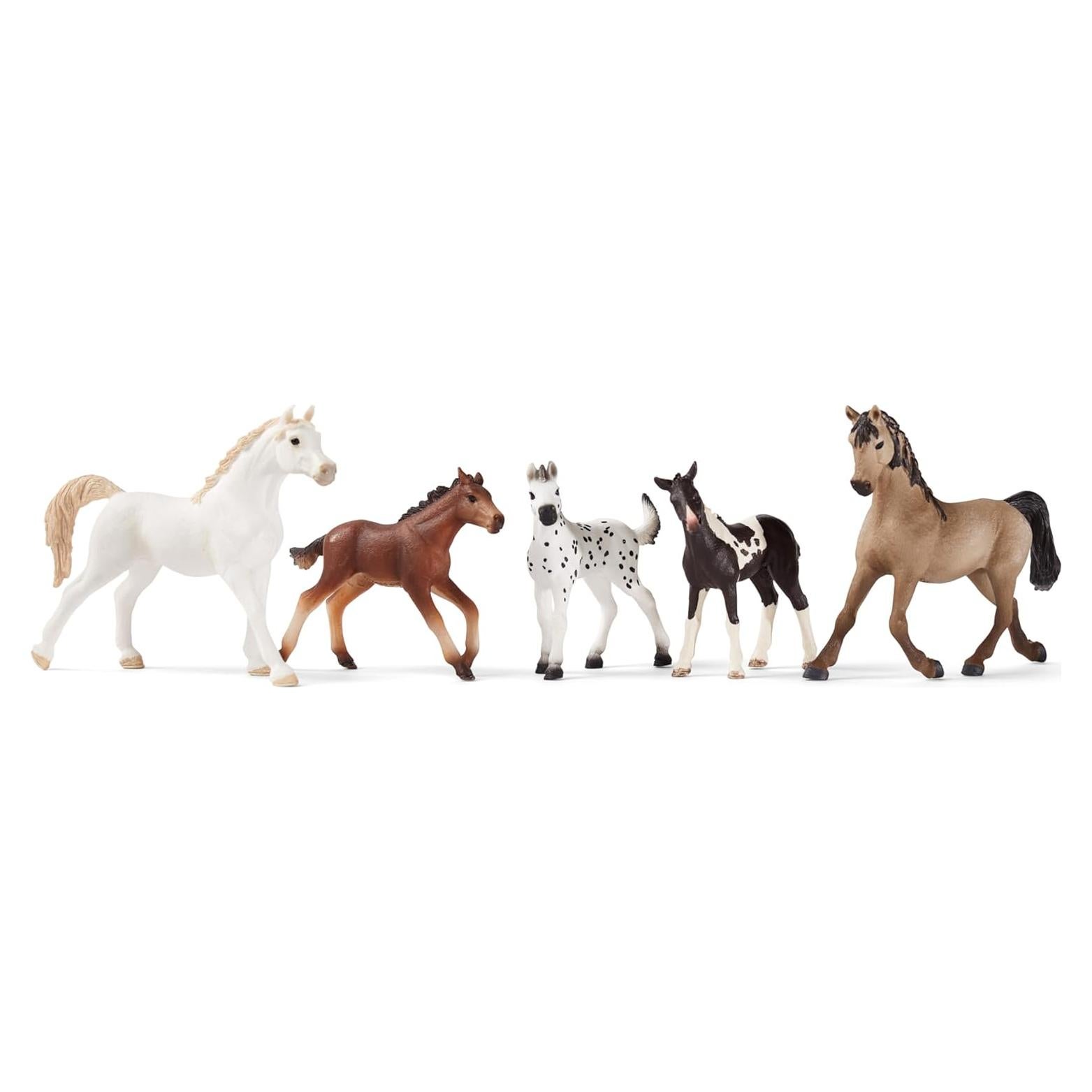 5-Piece Horse Collector Set