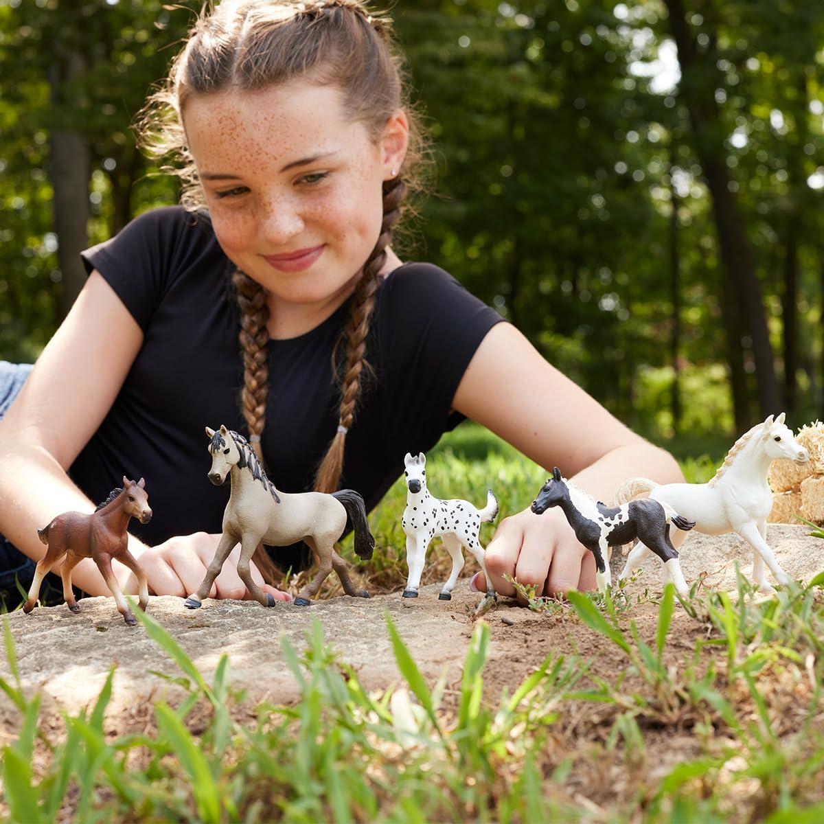 5-Piece Horse Collector Set