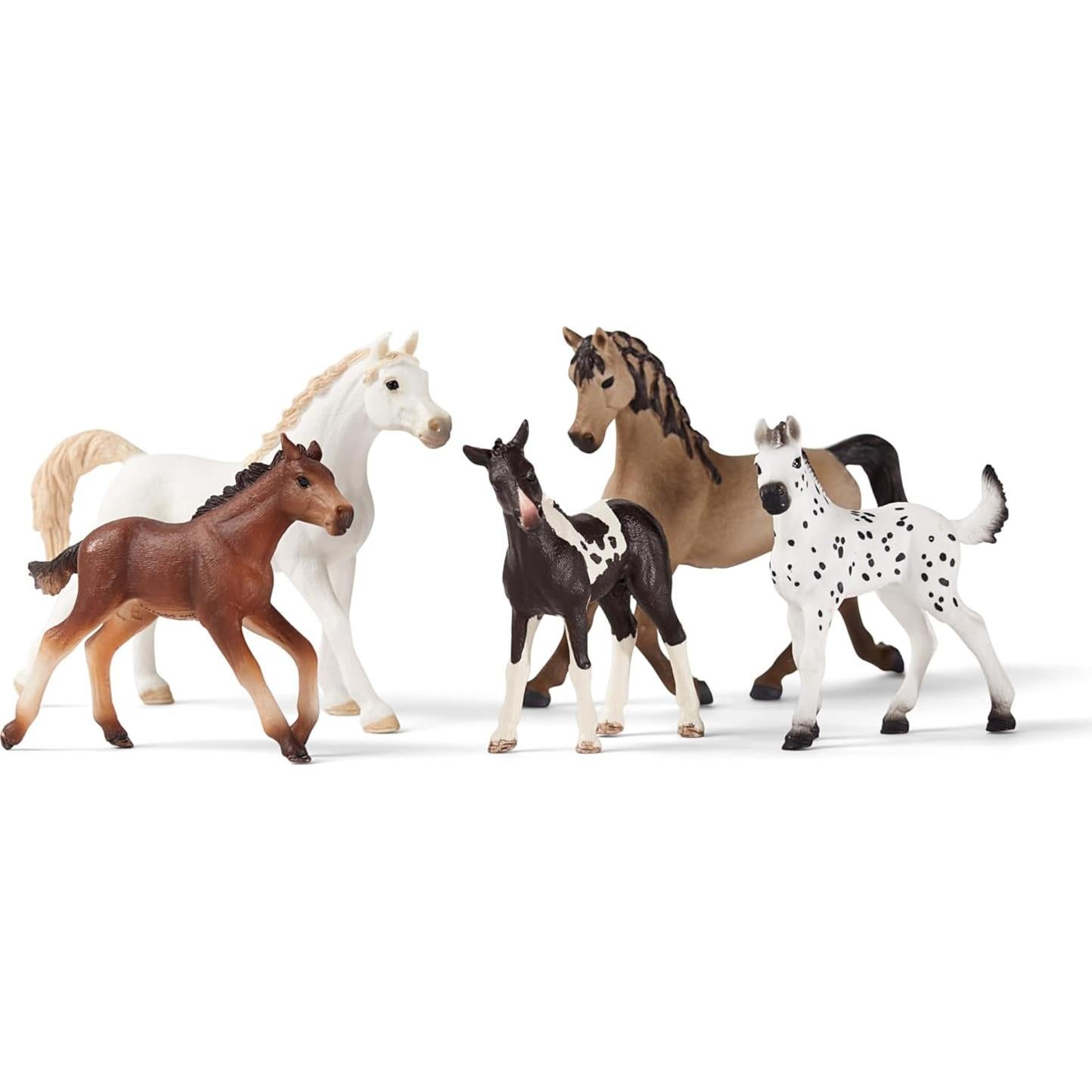 5-Piece Horse Collector Set
