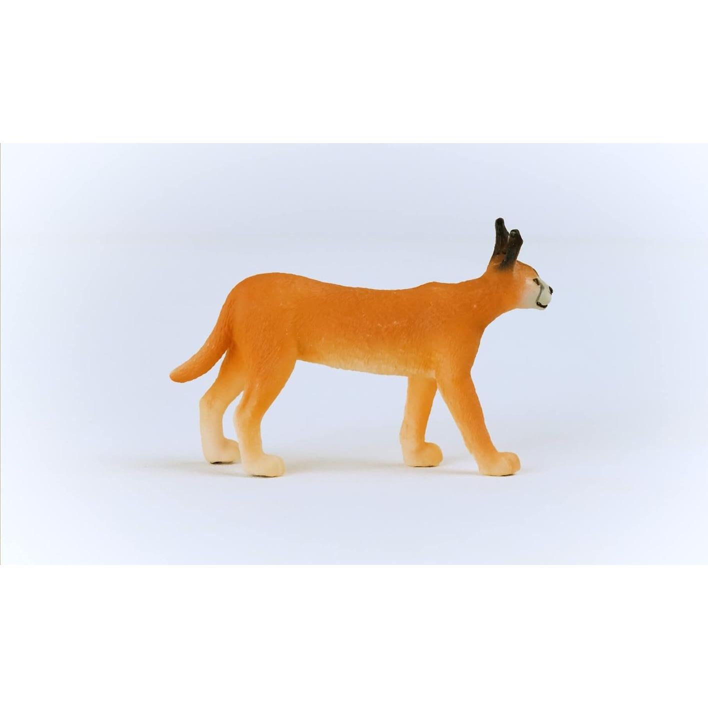 Figura de Caracal Hembra Schleich 10.9x10.9 cm Juguete Realista
