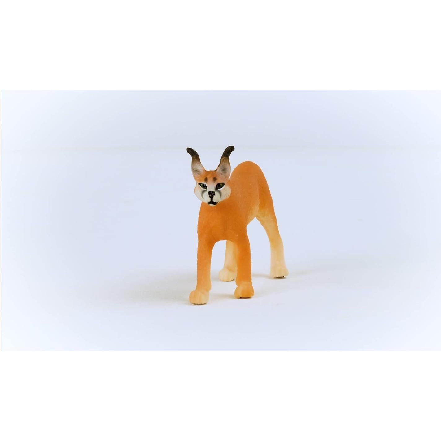 Figura de Caracal Hembra Schleich 10.9x10.9 cm Juguete Realista