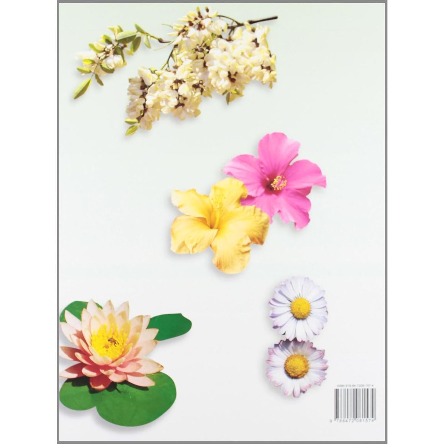 Encyclopedia of Medicinal Plants Education and Health Library (Volume 1 and 2 + DVD)