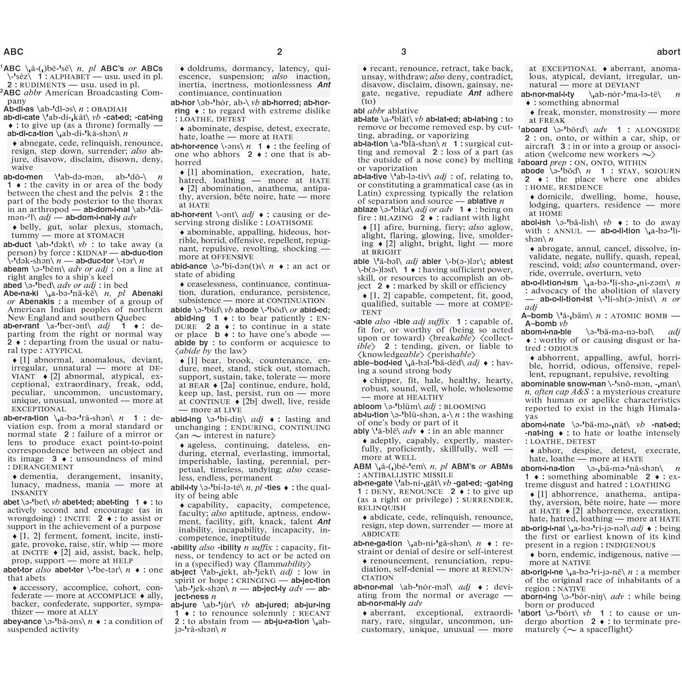 Merriam-Webster's Dictionary and Thesaurus, Mass-Market Paperback