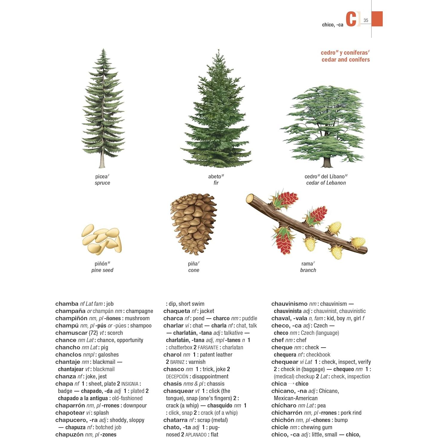Merriam-Webster's Illustrated Spanish-English Student Dictionary, Newest Edition, (Spanish & English Edition) (English and Spanish Edition)