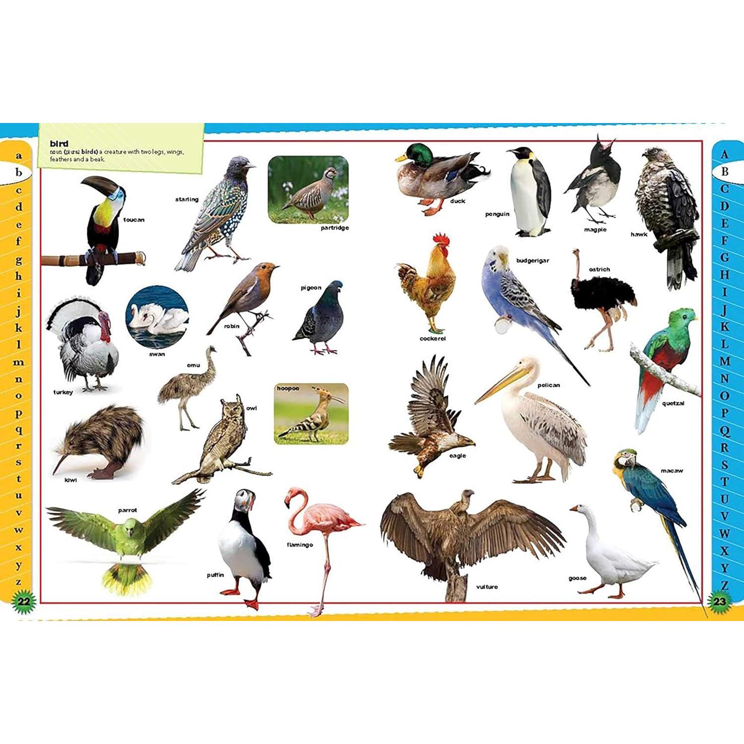 Children's Dictionary: 3,000 Words, Pictures, and Definitions