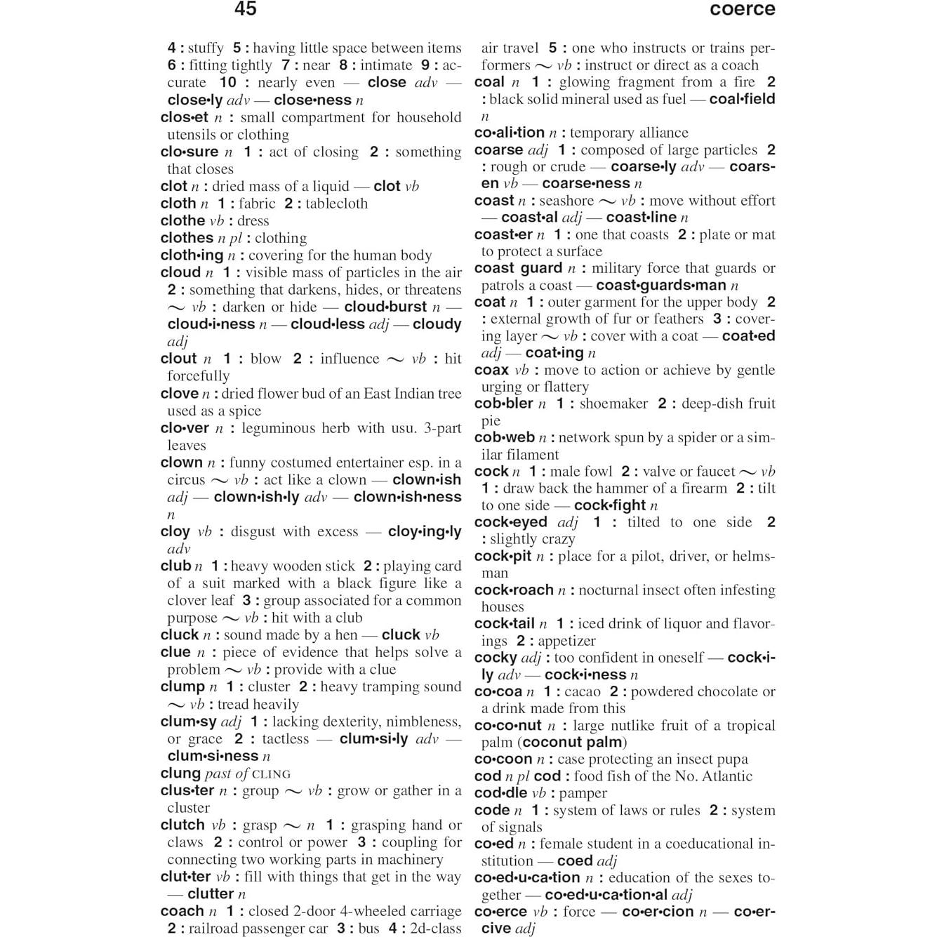 Webster's Dictionary & Thesaurus, Newest Edition