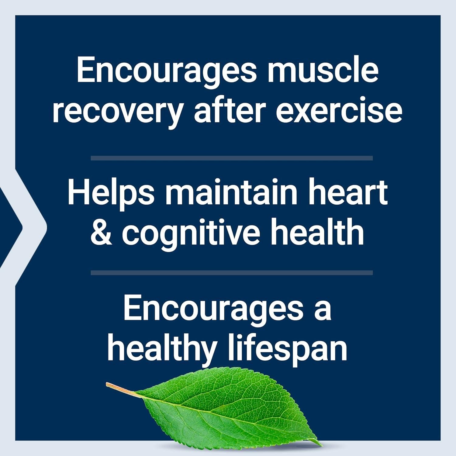 Suplemento de Taurina Life Extension 1000 mg 90 Cápsulas