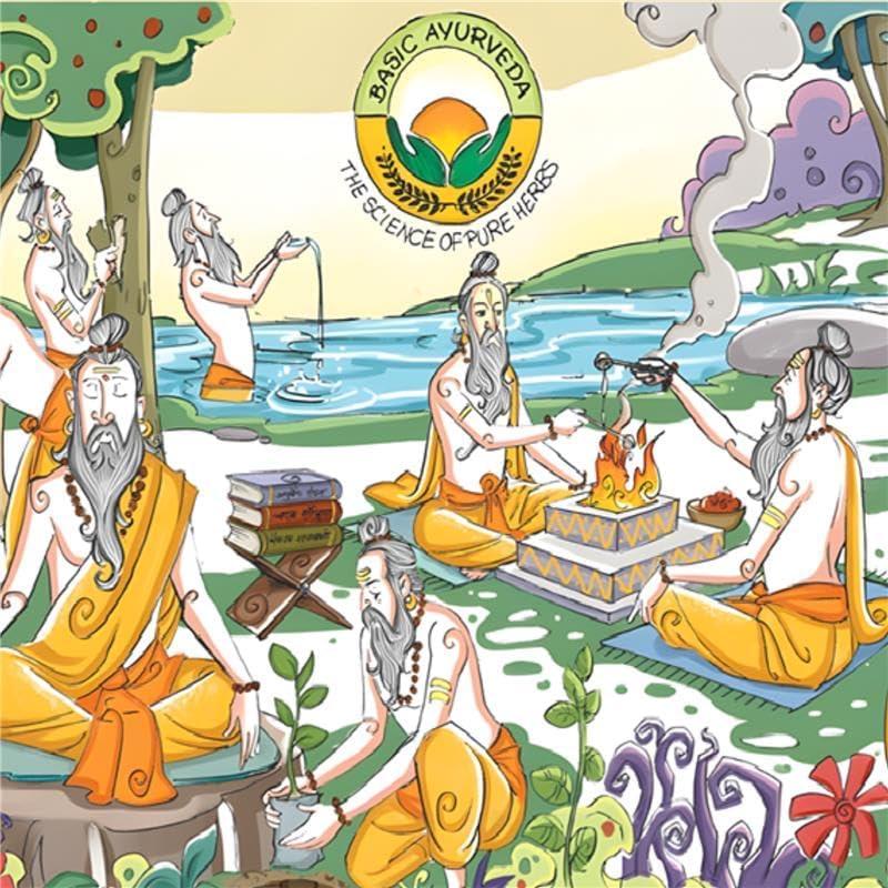 Polvo de Tulsi 200g BASIC AYURVEDA - Albahaca Sagrada Pura