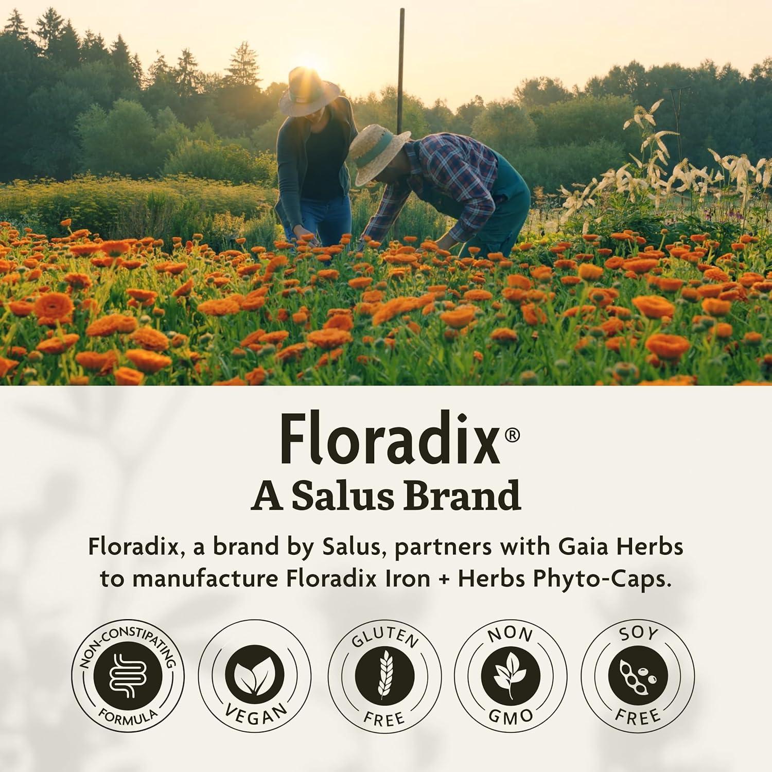 Floradix Hierro + Hierbas - Suplemento Vegano 60 Cápsulas