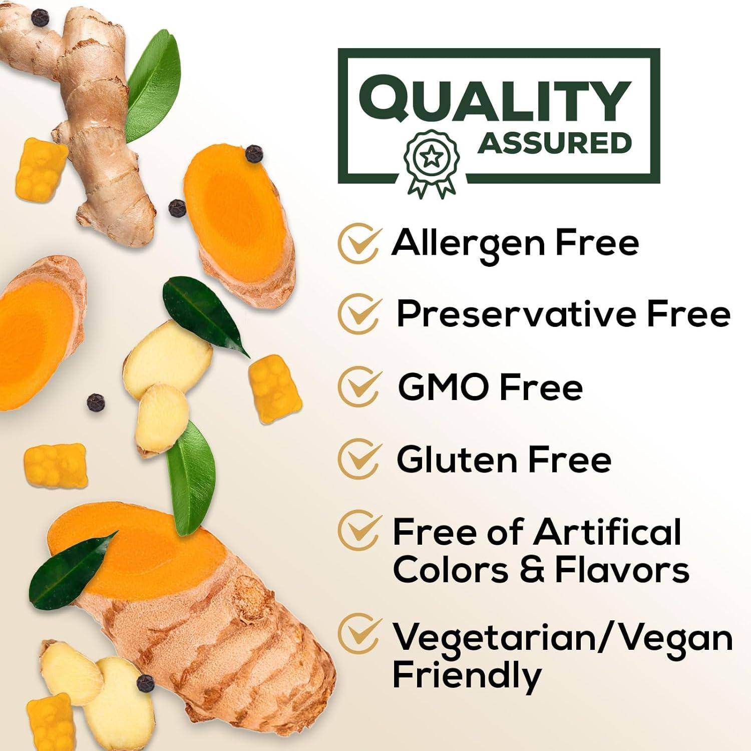 Gomas de Cúrcuma y Jengibre Nature's Nutrition - 60 Unidades