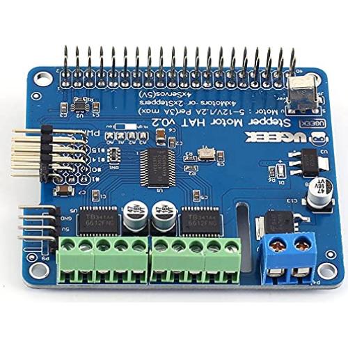 Módulo Controlador de Servo Motor DIYElectronic para Raspberry Pi