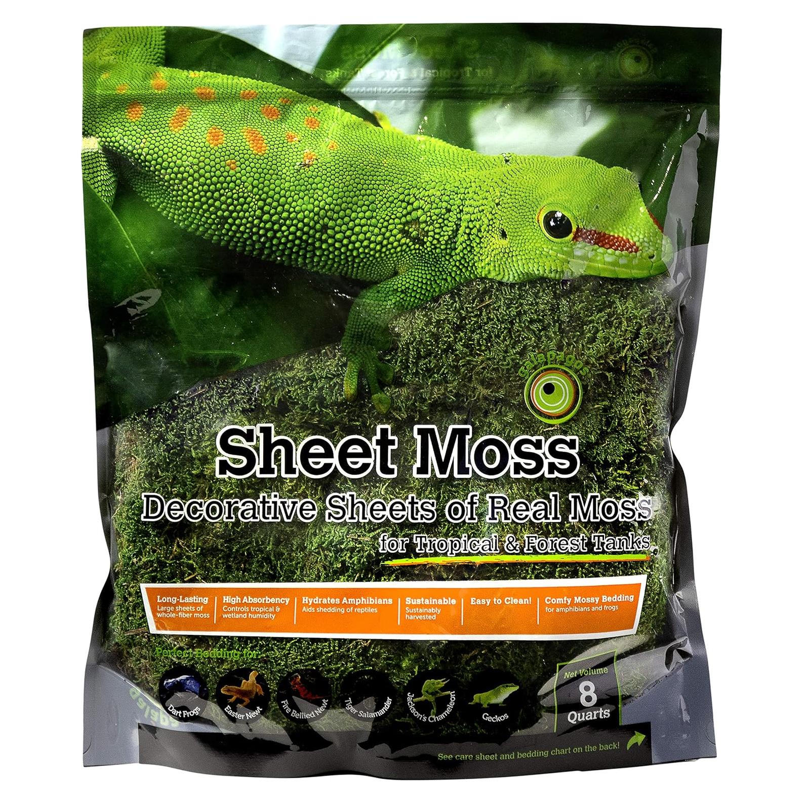 Musgo Real Galápagos 8QT para Terrarios Tropicales