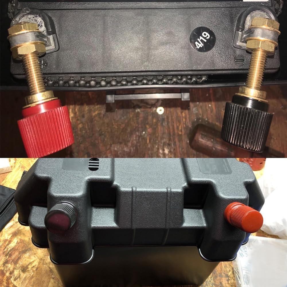 Conector de terminal de batería remota Ampper M10 9.5 mm - 2 unidades