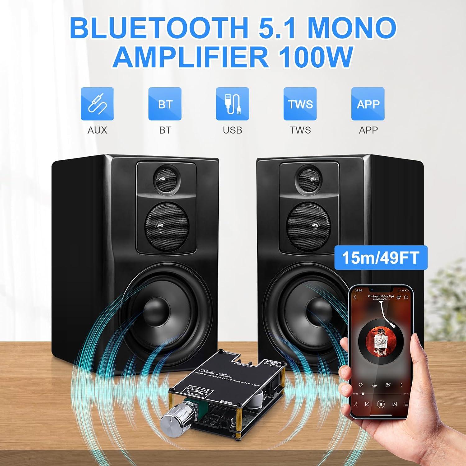 Amplificador Mono Bluetooth ARRAROWN ZK-1001B 100W TWS