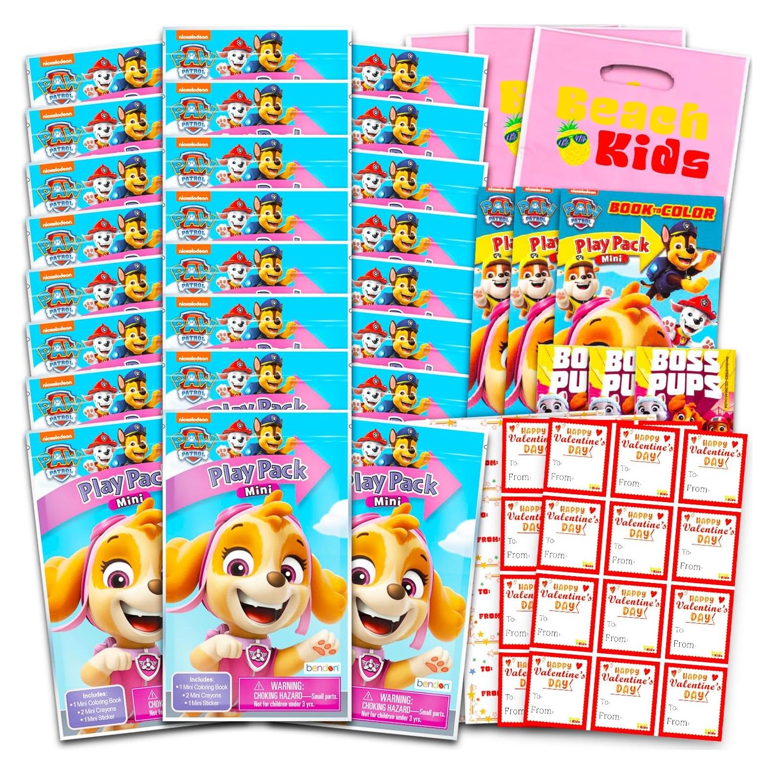 Paw Patrol Skye Party Supplies Classroom Gift Exchange Bundle - 24 Skye Paw Patrol Mini Coloring Activity Books for School, Stickers | Kids Party Favors