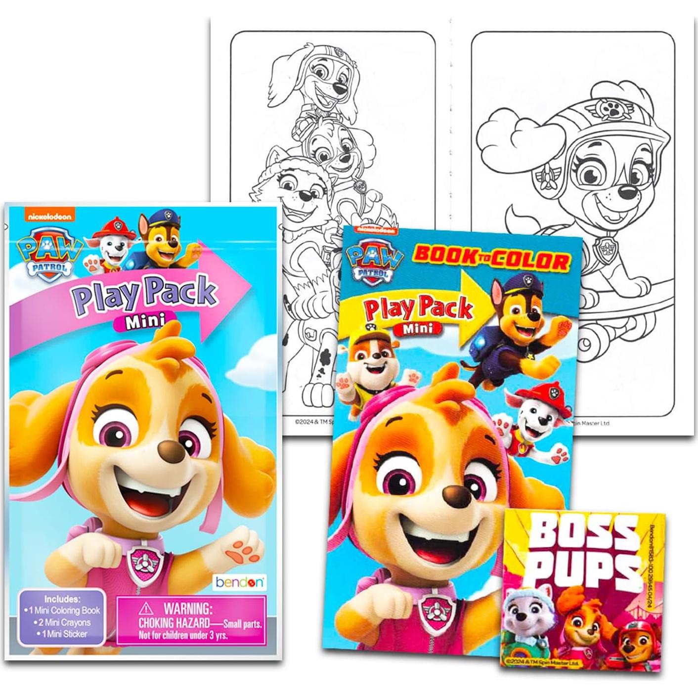Paw Patrol Skye Party Supplies Classroom Gift Exchange Bundle - 24 Skye Paw Patrol Mini Coloring Activity Books for School, Stickers | Kids Party Favors