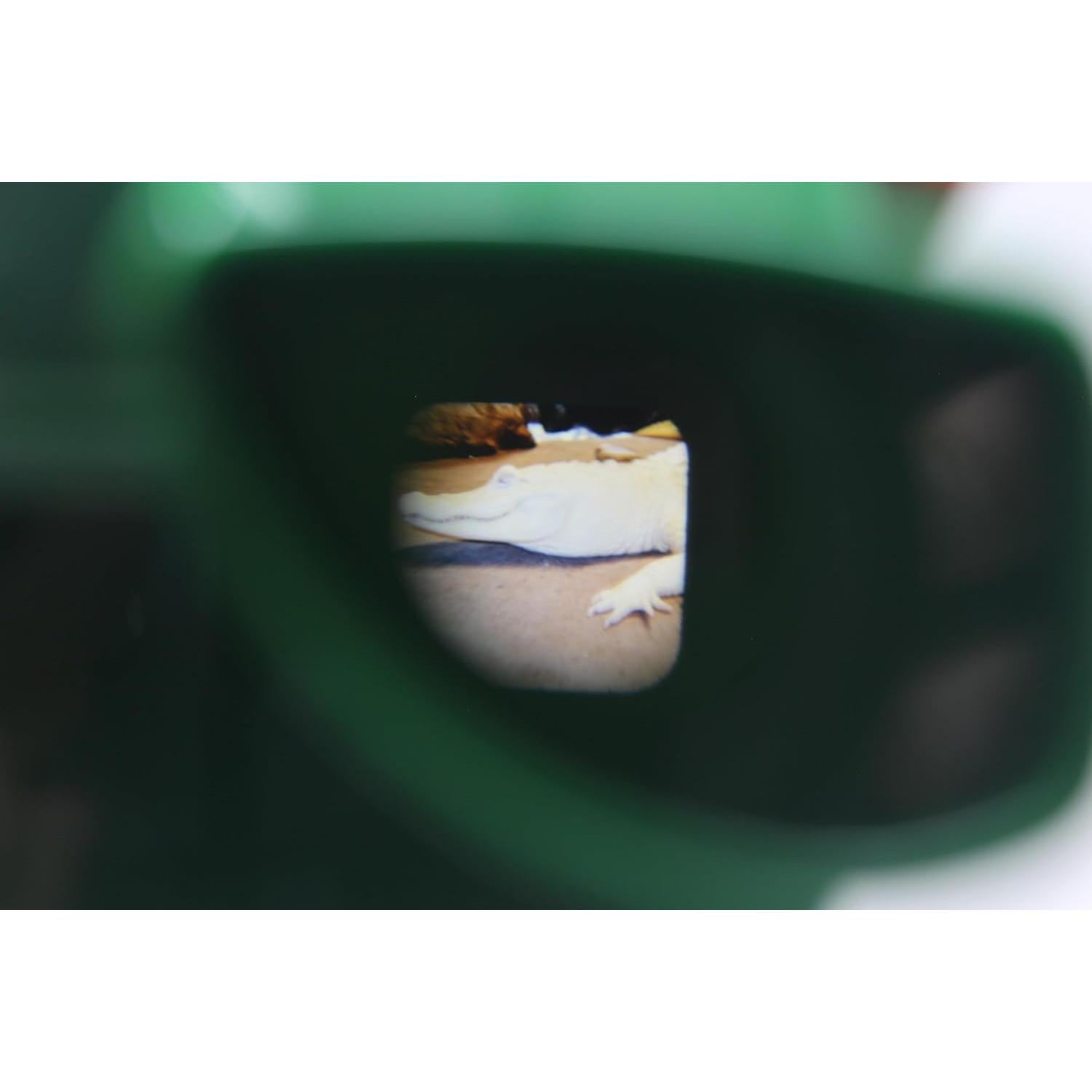 Visor 3D Cocodrilo WARM FUZZY Juguetes - 21 Imágenes 3D