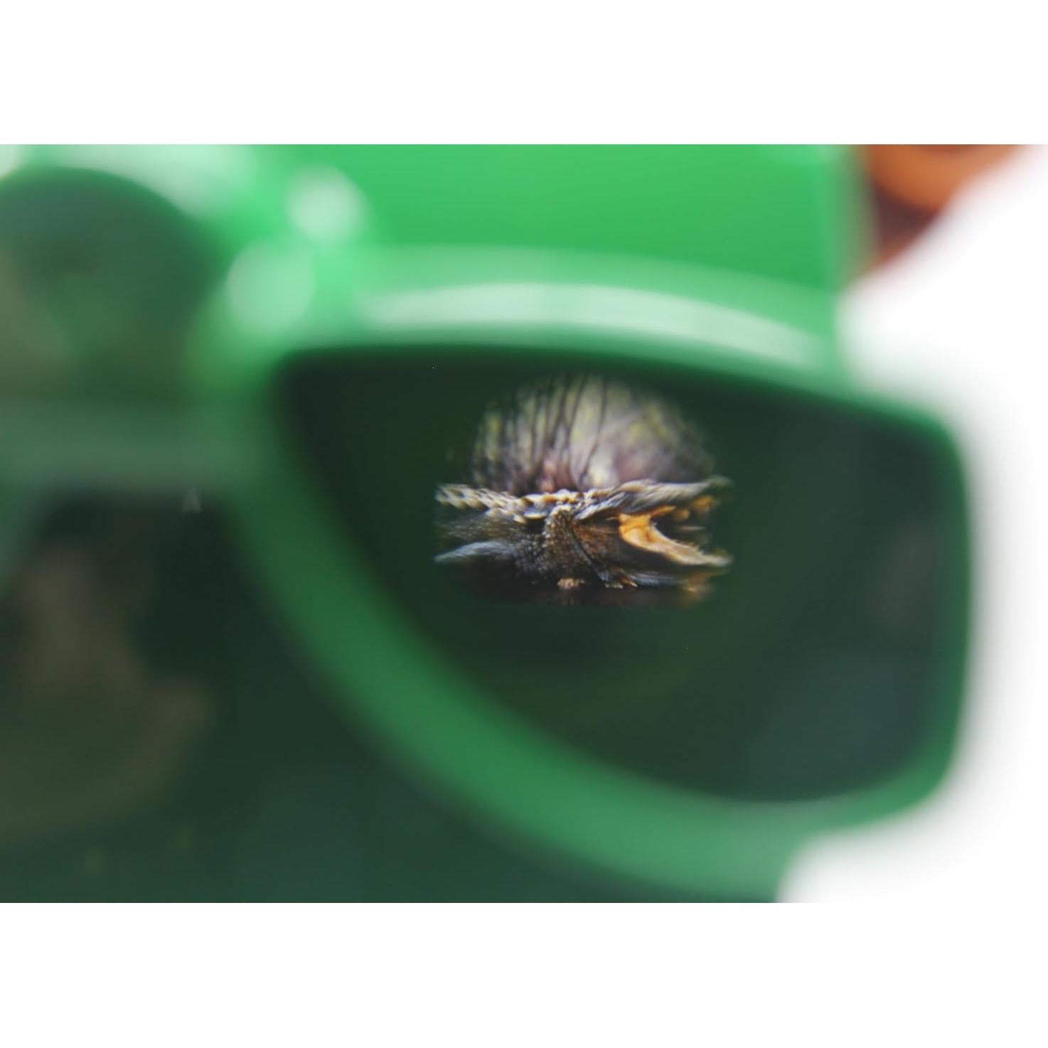 Visor 3D Cocodrilo WARM FUZZY Juguetes - 21 Imágenes 3D