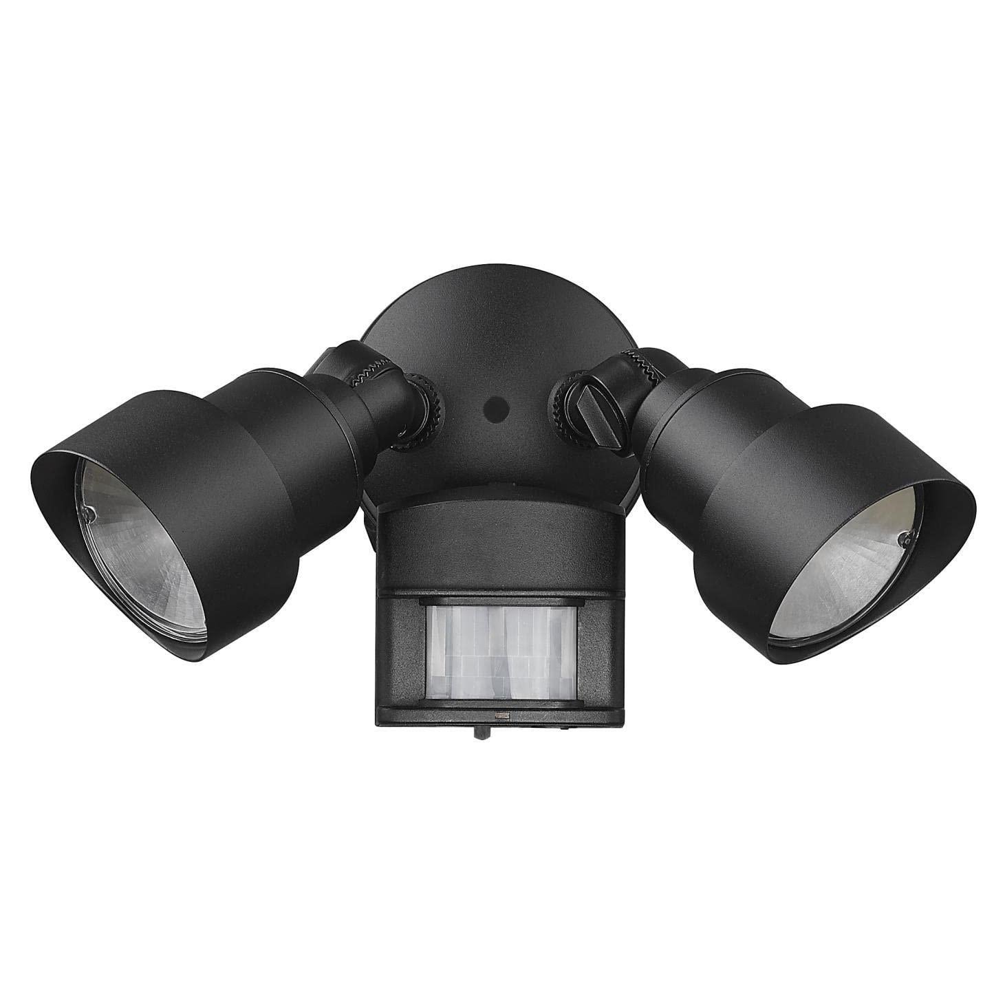 Focos LED 2 Luzes Acclaim Lighting LFL2BKM Exterior con Sensor