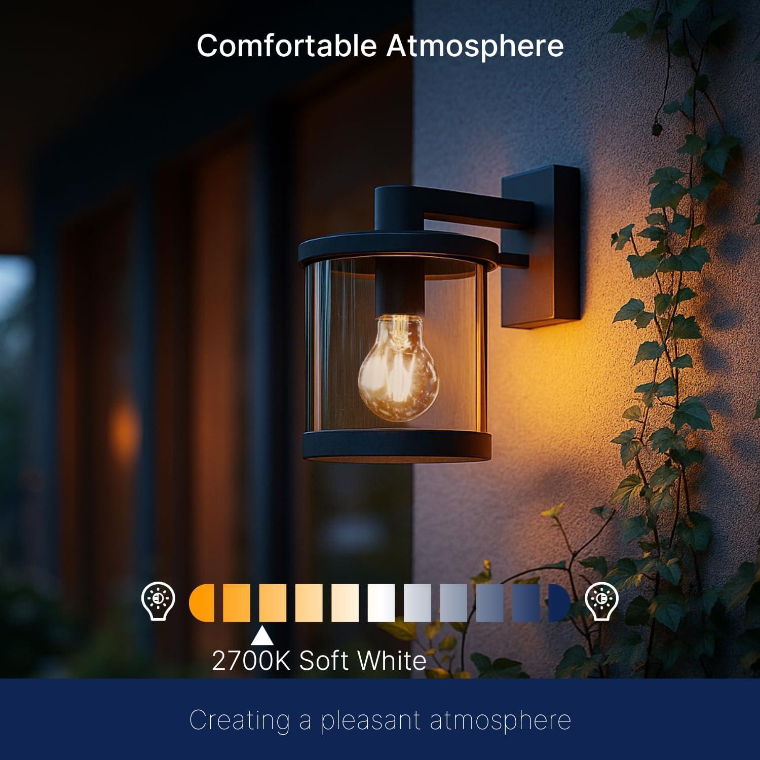 Bombillas LED FLSNT A19 Dusk to Dawn 8W 2700K 2 Paquete