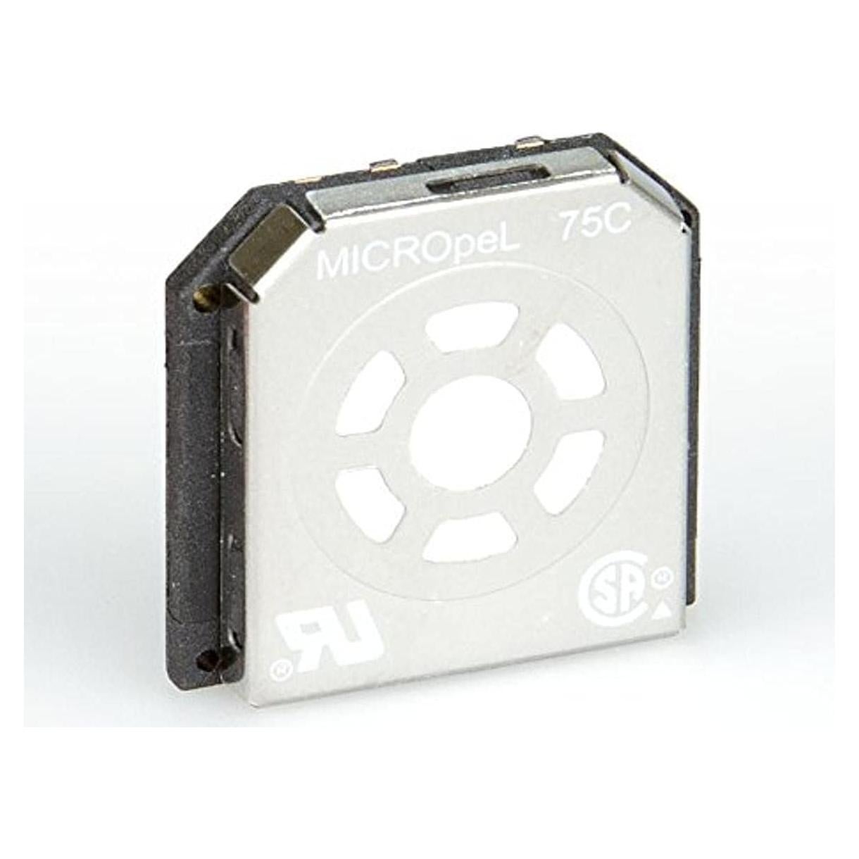 Sensor de Combustible LEL BW Technologies SR-W-MP75C