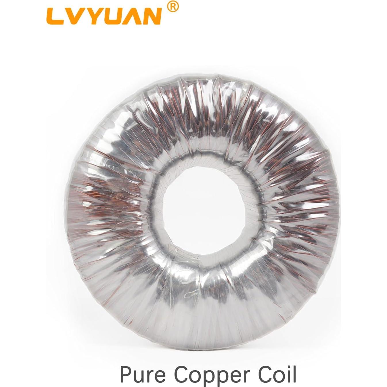 Transformador de Voltaje LVYUAN 3000W Paso Arriba/Abajo