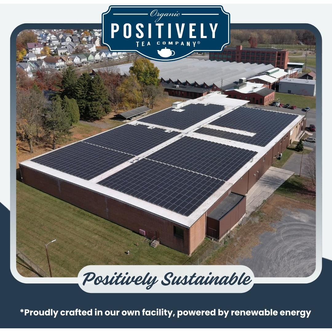 Té Negro Orgánico Positivamente Taza de los Enamorados 454g