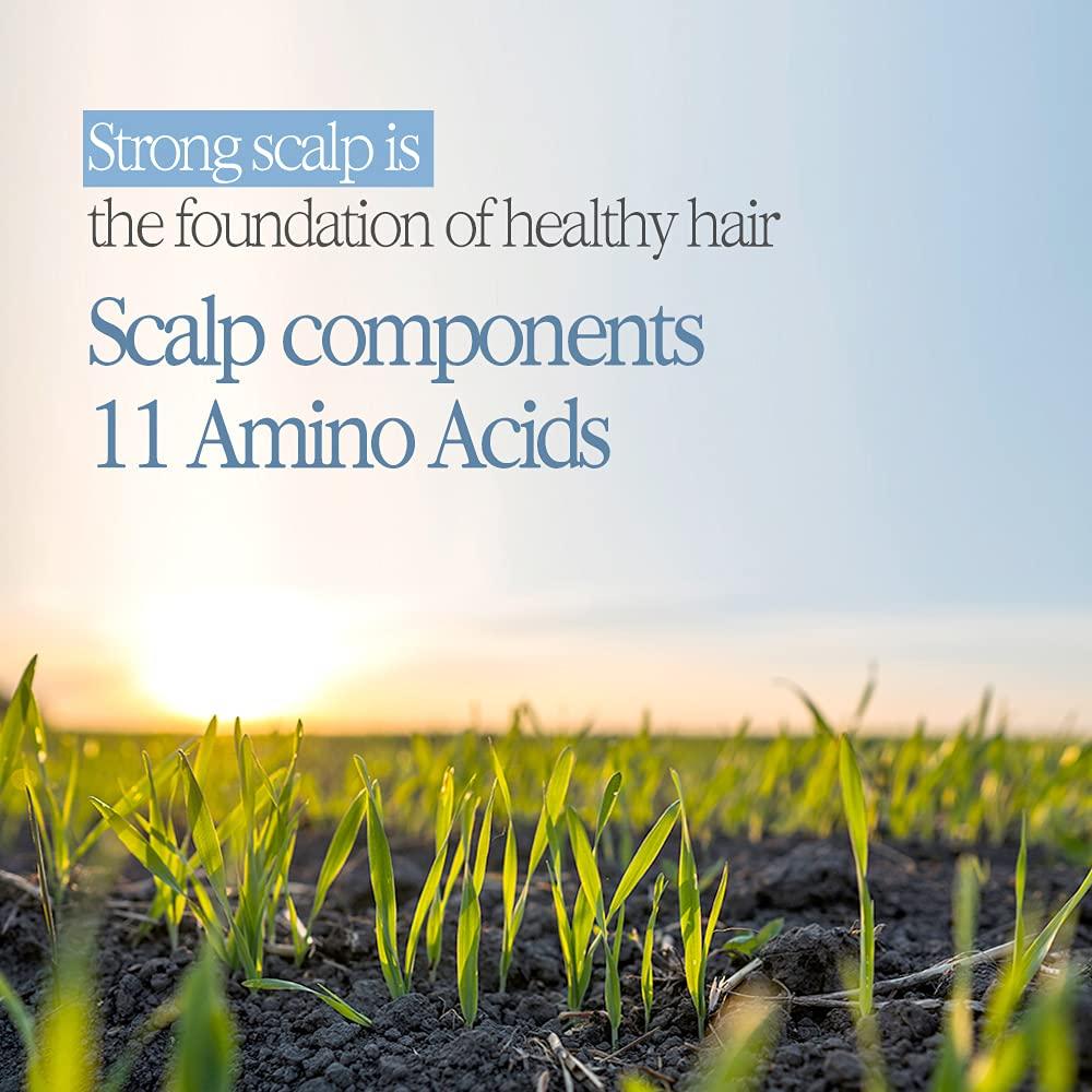 Tratamiento Capilar Bouquet Garni 500 ml Flor de Cerezo