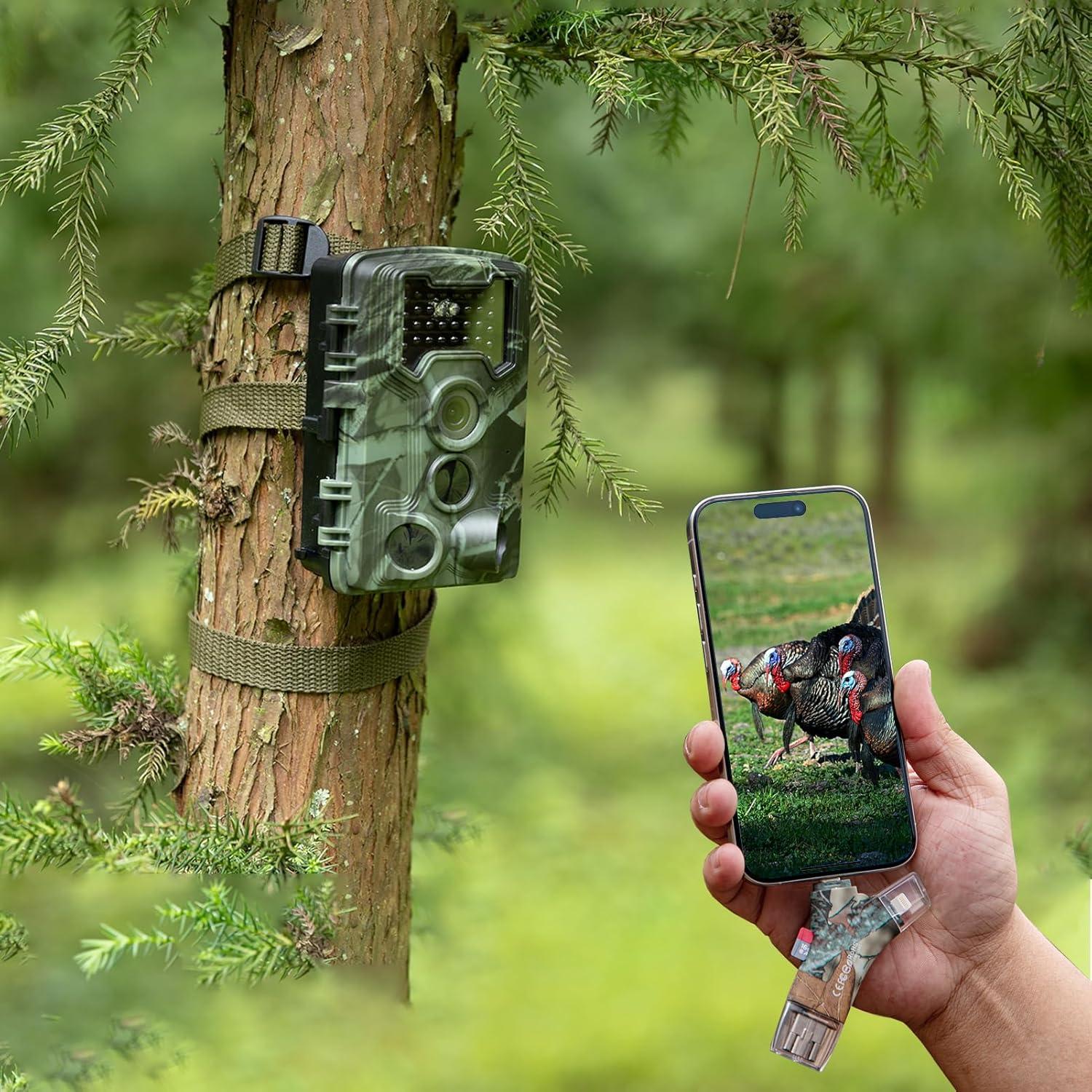 Lector de Tarjeta SD TF GearOZ GZ0016AA Inalámbrico 4 en 1