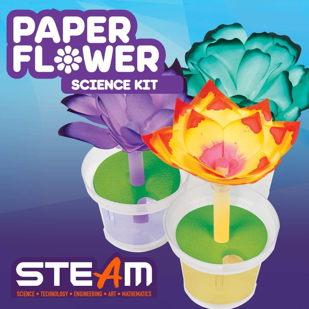 Kit de Ciencia Crayola Flores de Papel 12 Piezas Educativo