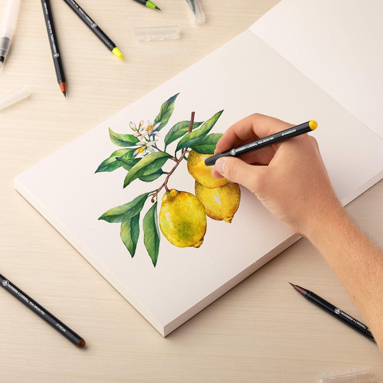 Conjunto de Pinceles de Agua Norberg & Linden - 48 Marcadores Acuarela