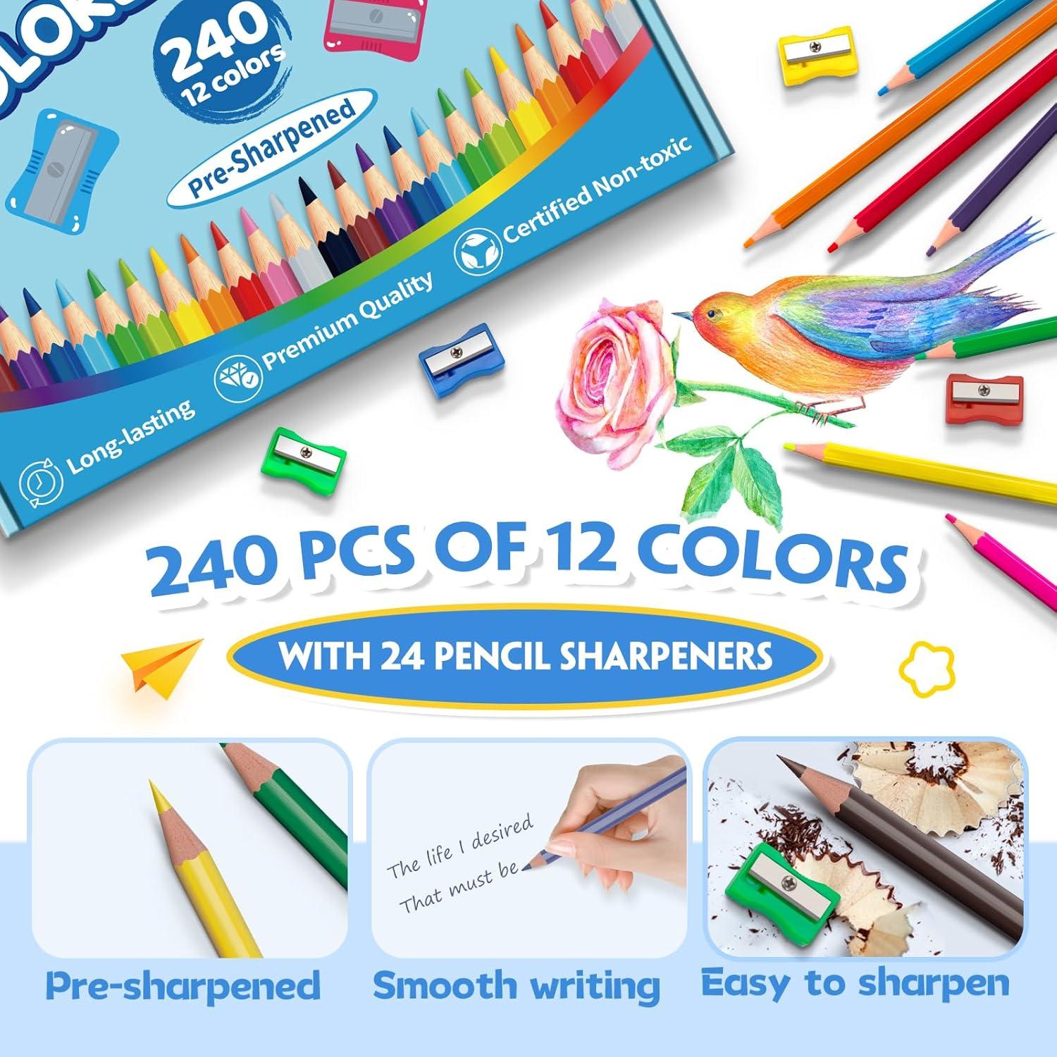 240 Lápices de Color Aigybobo para Aula - 12 Colores