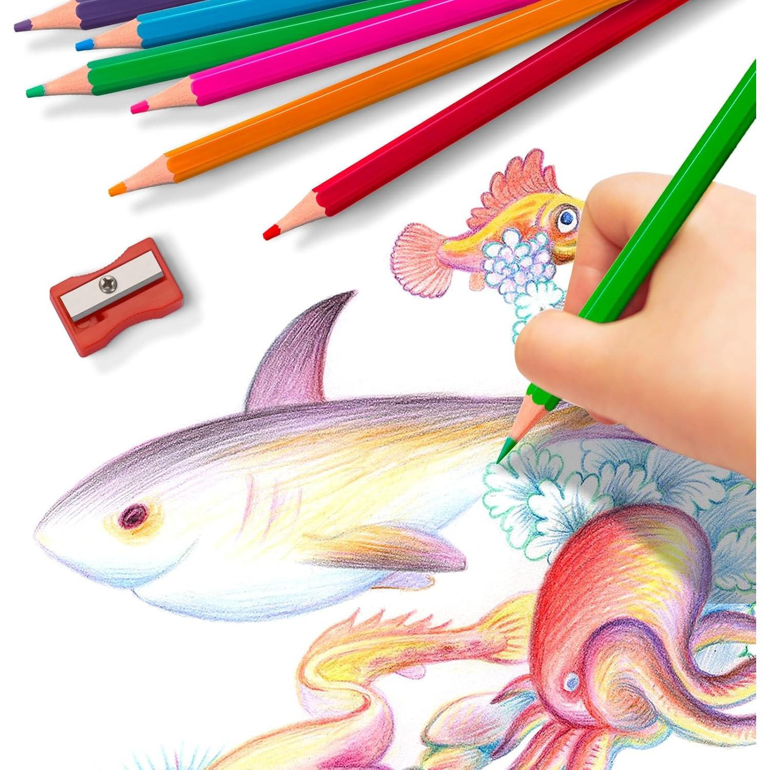 240 Lápices de Color Aigybobo para Aula - 12 Colores