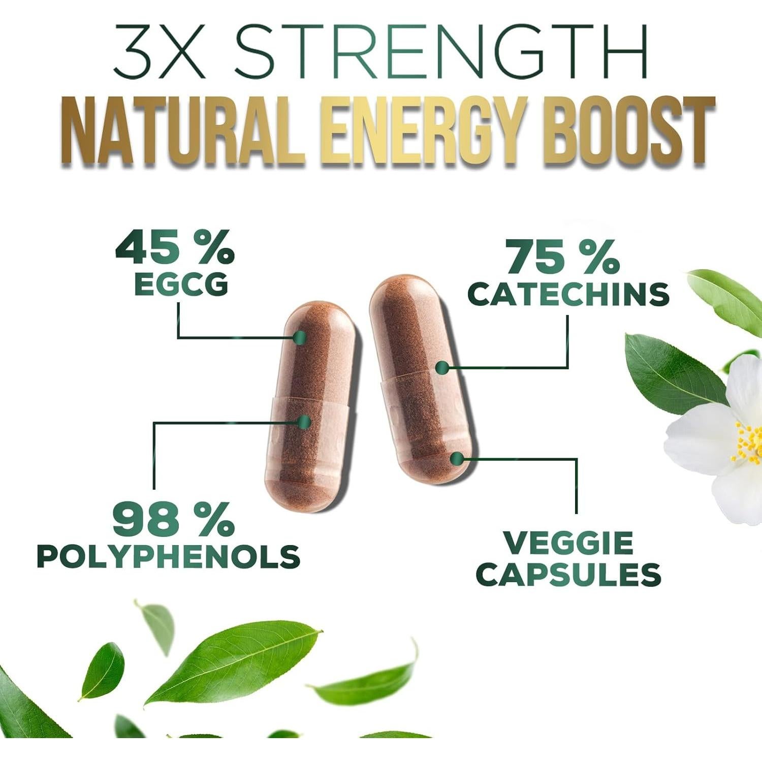 Cápsulas de Extracto de Té Verde 1000mg PureTea - 60 Unidades