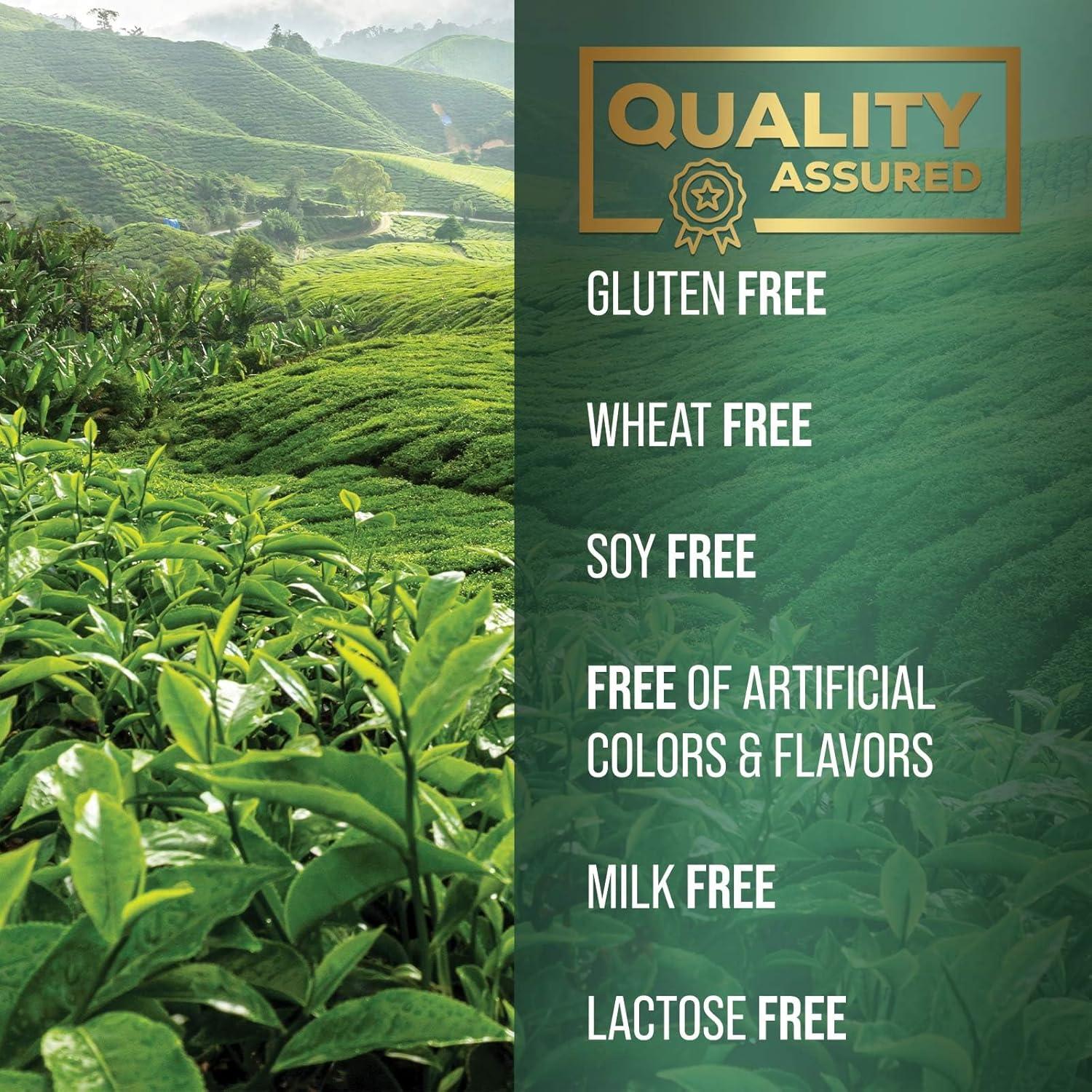 Cápsulas de Extracto de Té Verde 1000mg PureTea - 60 Unidades