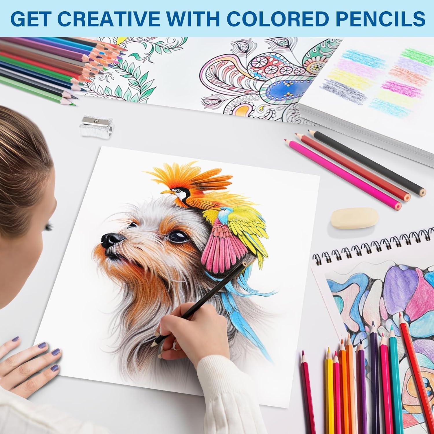 Juego de Lápices de Colores BAODLON 48 Colores Pre-afilados