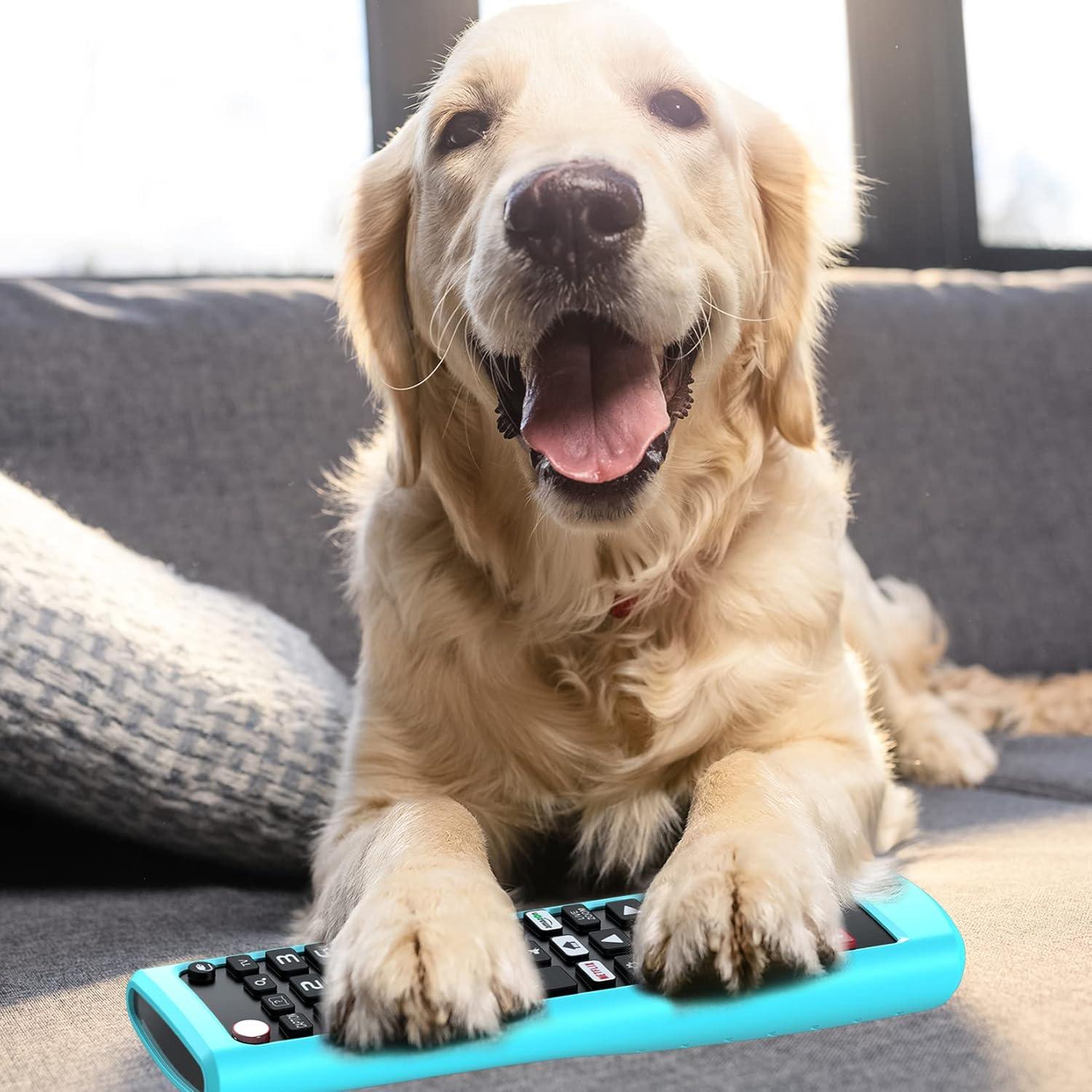 Funda de silicona azul para control remoto LG AKB75095307