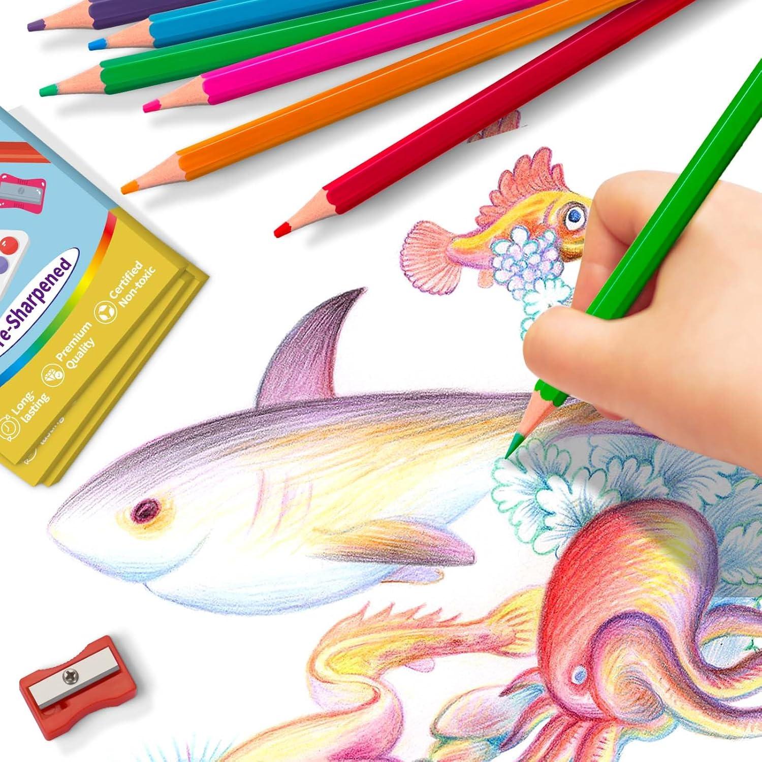 Lápices de Colores Aigybobo 432 Unidades 36 Paquetes