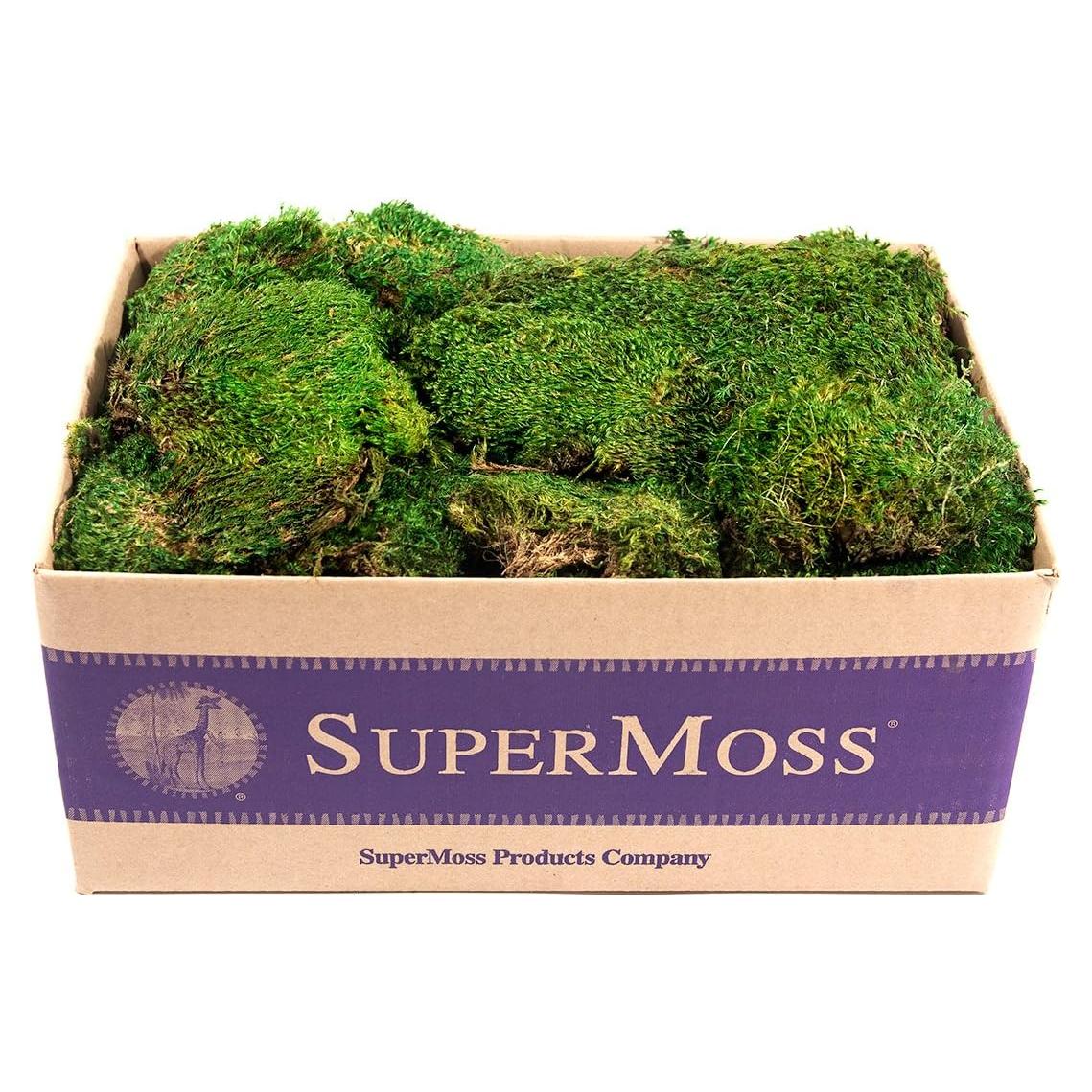 Musgo de Estado de Ánimo Conservado SuperMoss 1.36 kg Verde