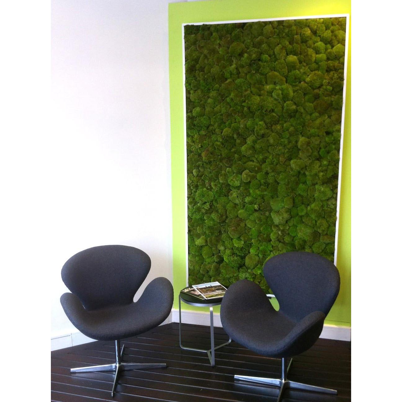 Musgo de Estado de Ánimo Conservado SuperMoss 1.36 kg Verde