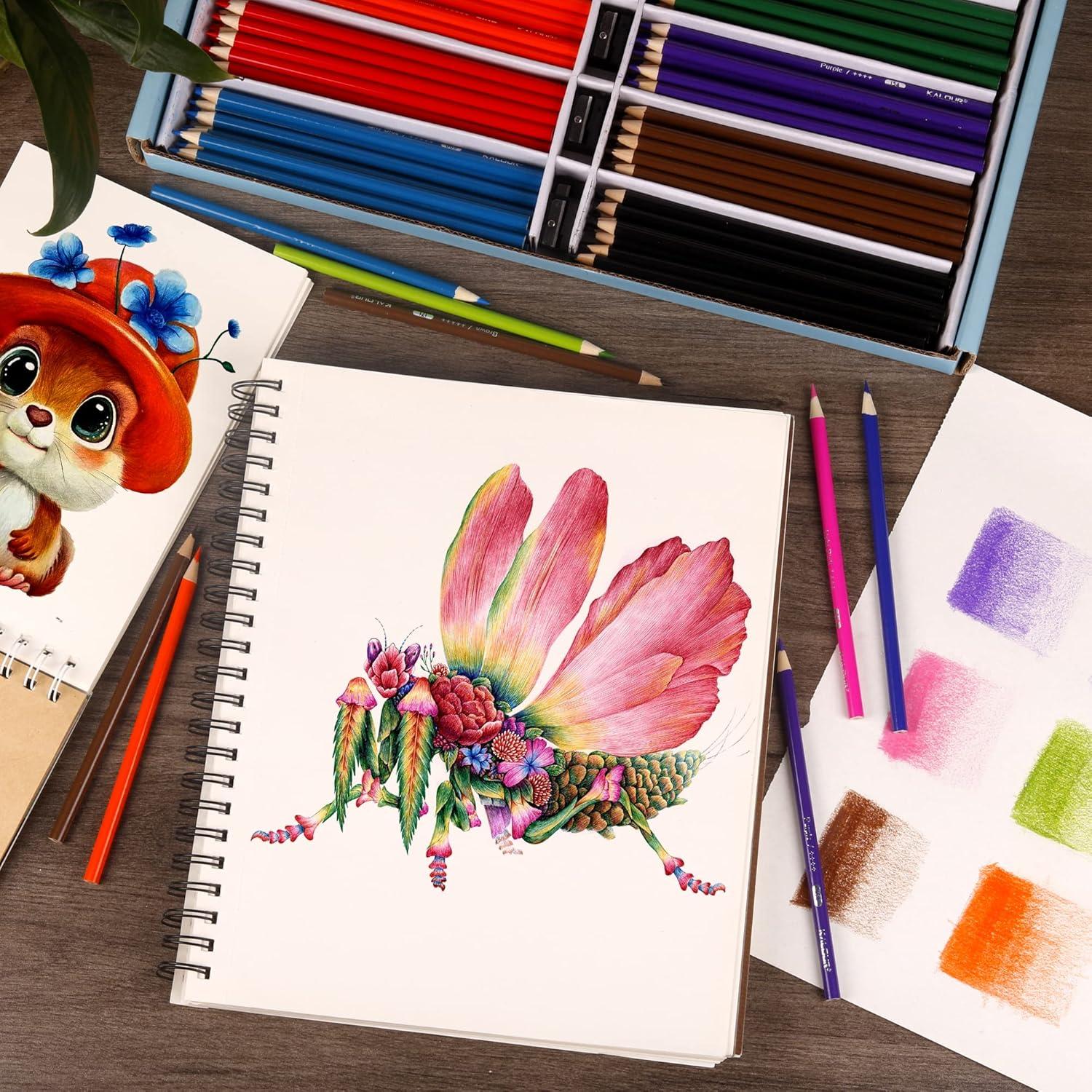 Lápices de Colores KALOUR Premium 240 Unidades Asortidos