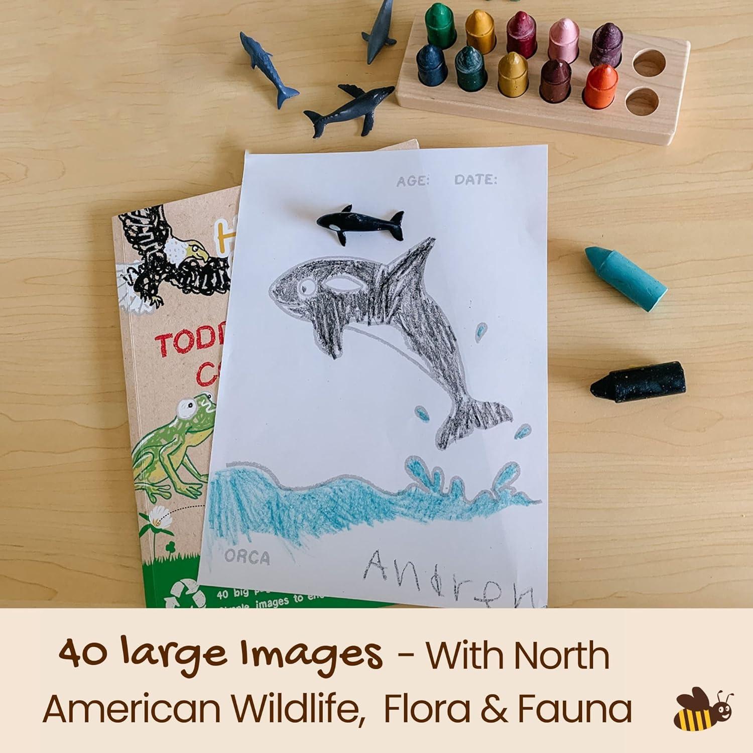 Crayones de Cera de Abeja Honeysticks + Libro para Colorear