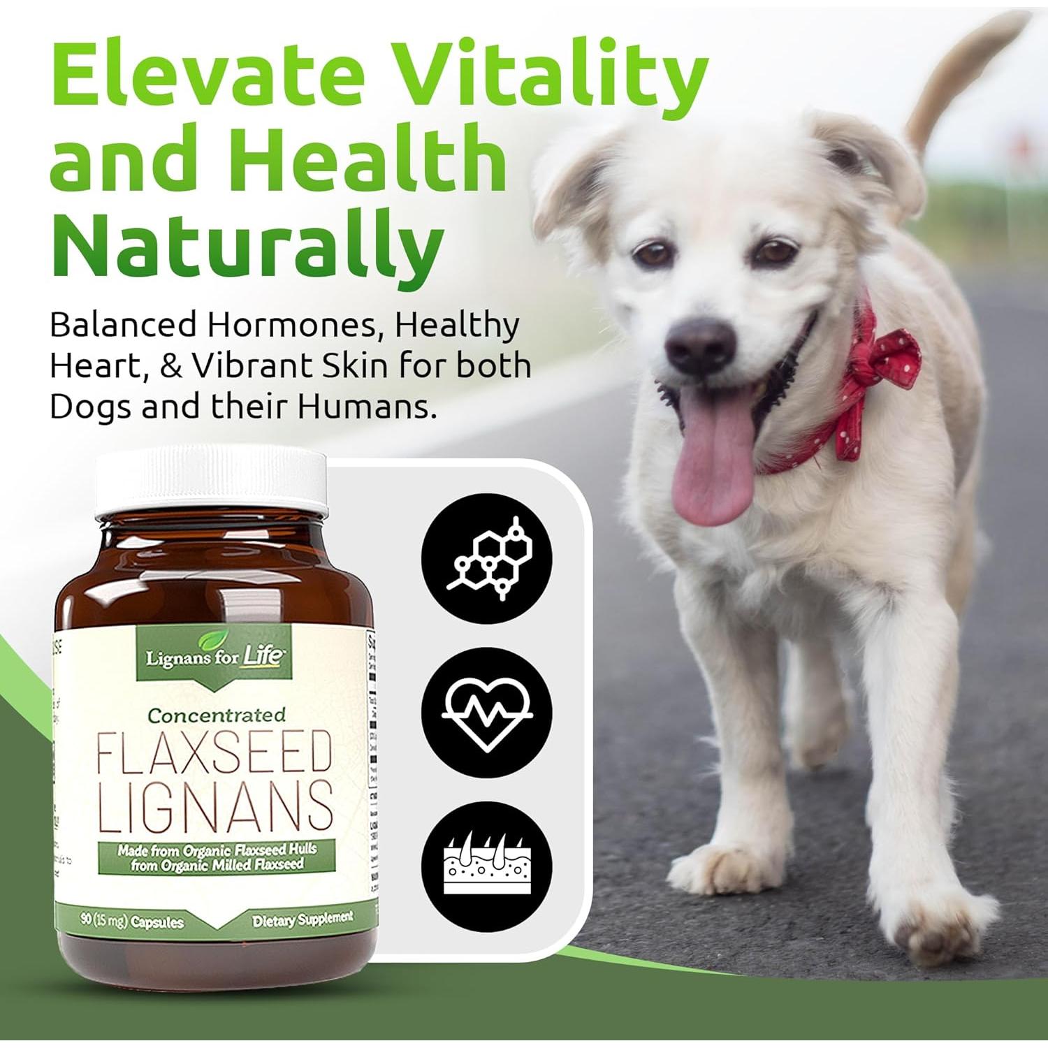 Suplemento de Semilla de Lino Lignanos 15mg 90 Cápsulas