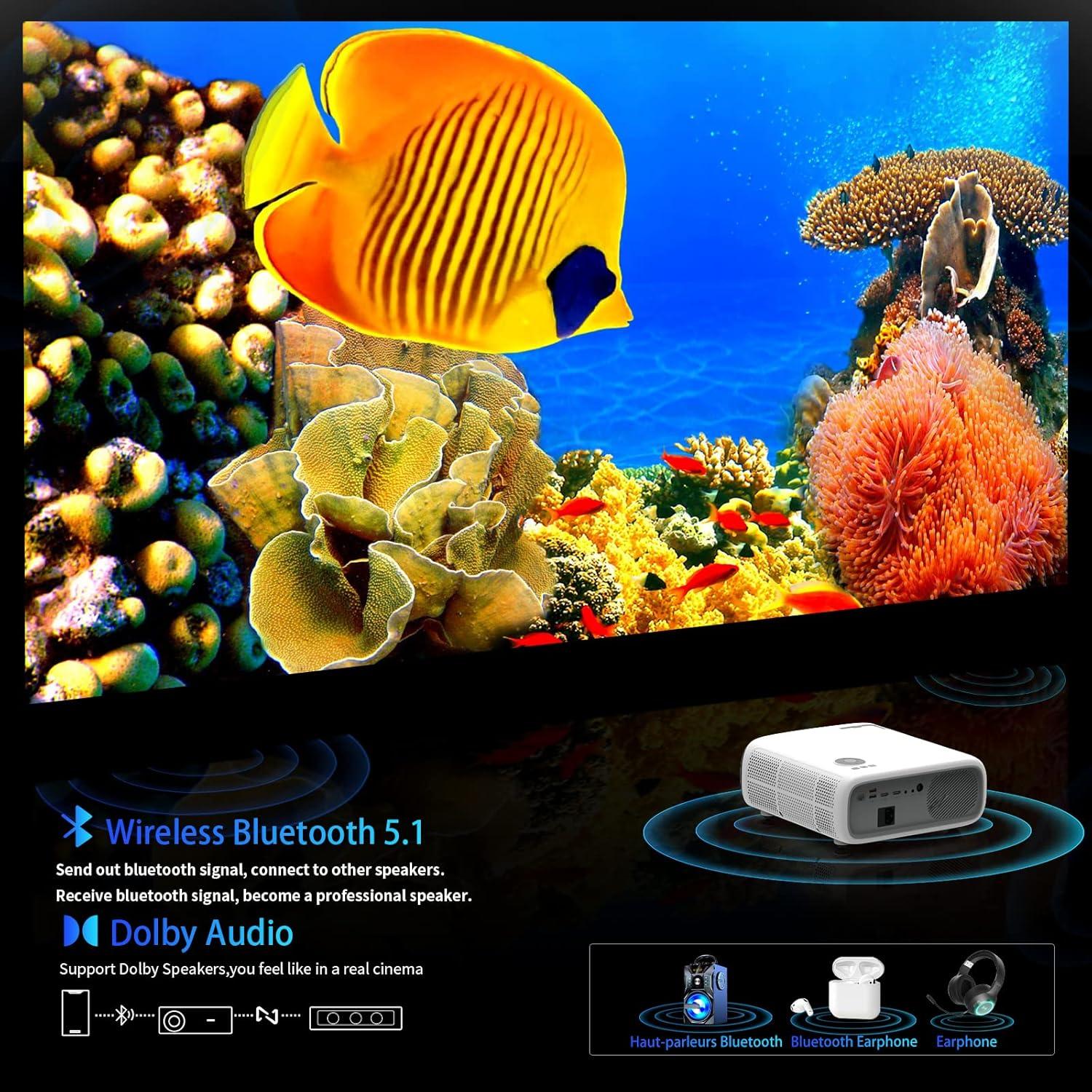 Proyector 4K ABoolon P6 Nativo 1080P WiFi 5G Bluetooth 10W