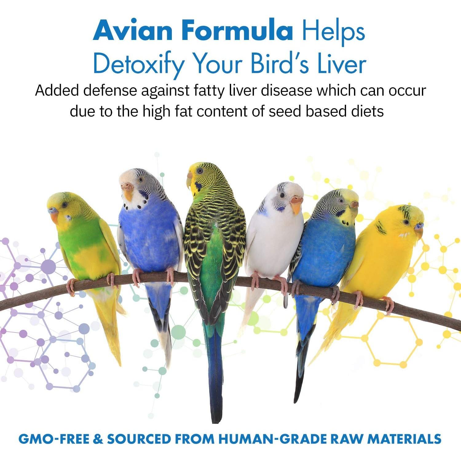 Suplemento Dietético Natural para Aves Equa Holistics 120 Porciones