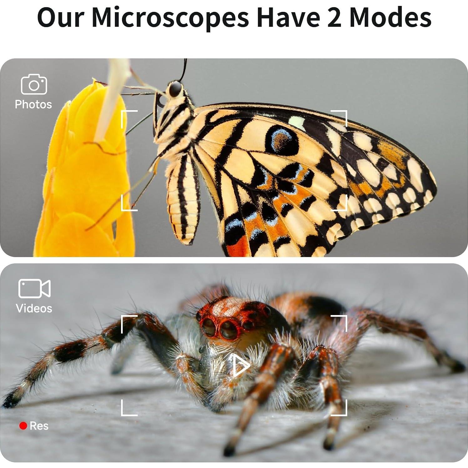 Microscopio Digital Infantil BeaverLab M2C 100X-1600X IPS