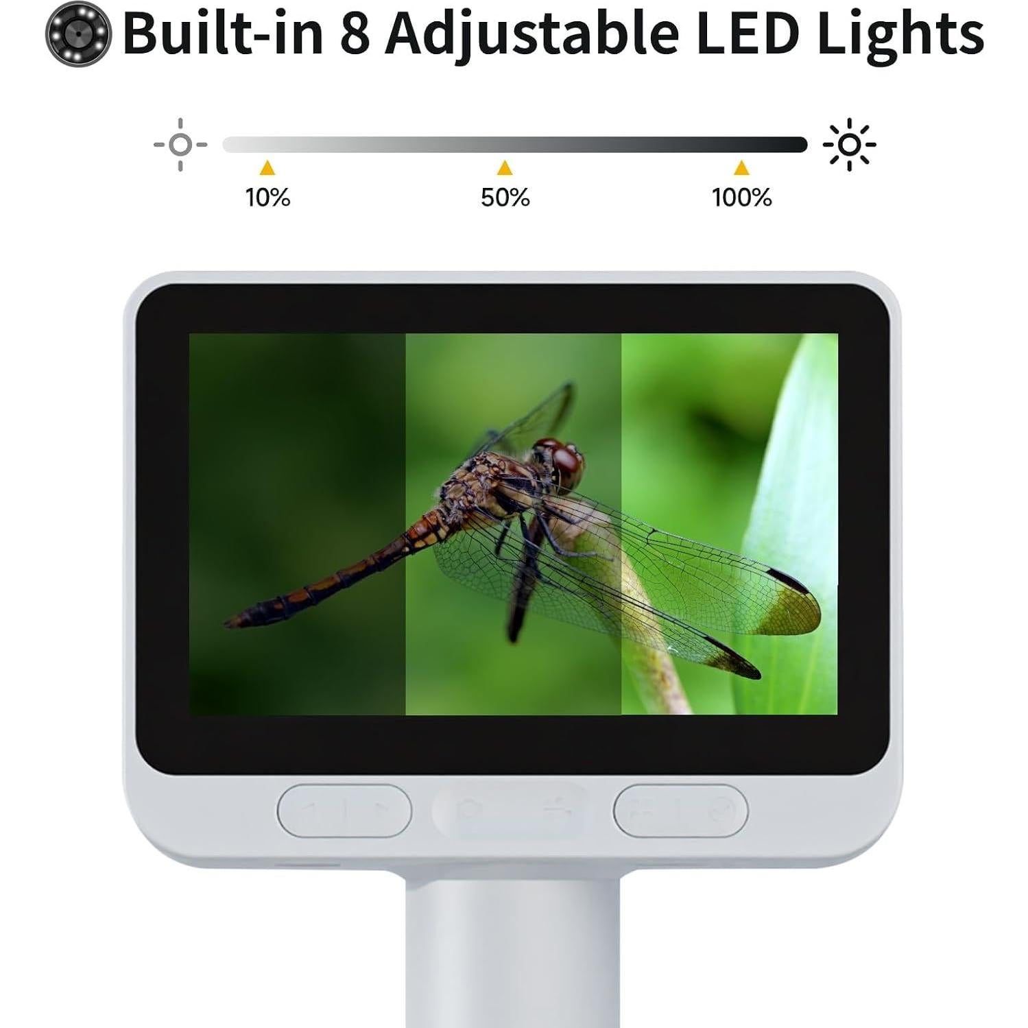 Microscopio Digital Infantil BeaverLab M2C 100X-1600X IPS