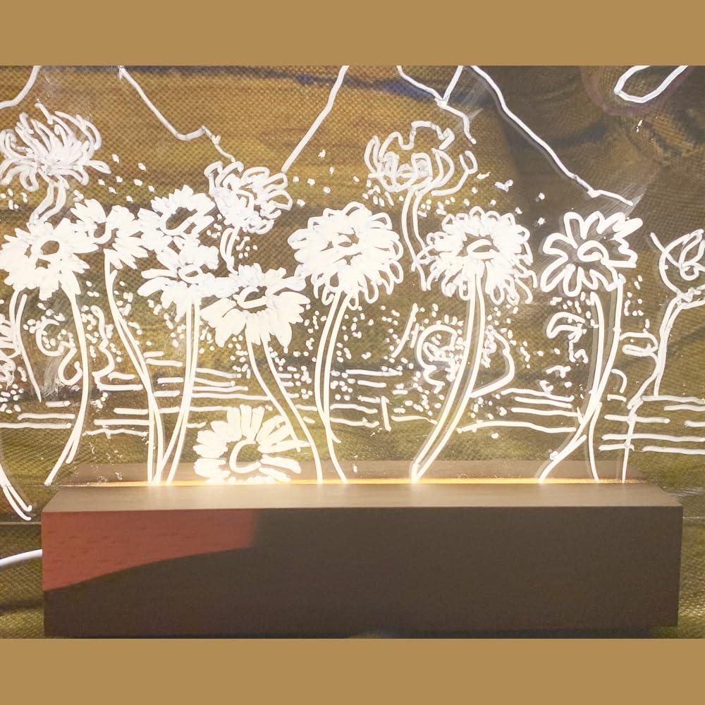 Tablero de Borrado en Seco ANTEISI AA06 30x20 cm con Luz LED