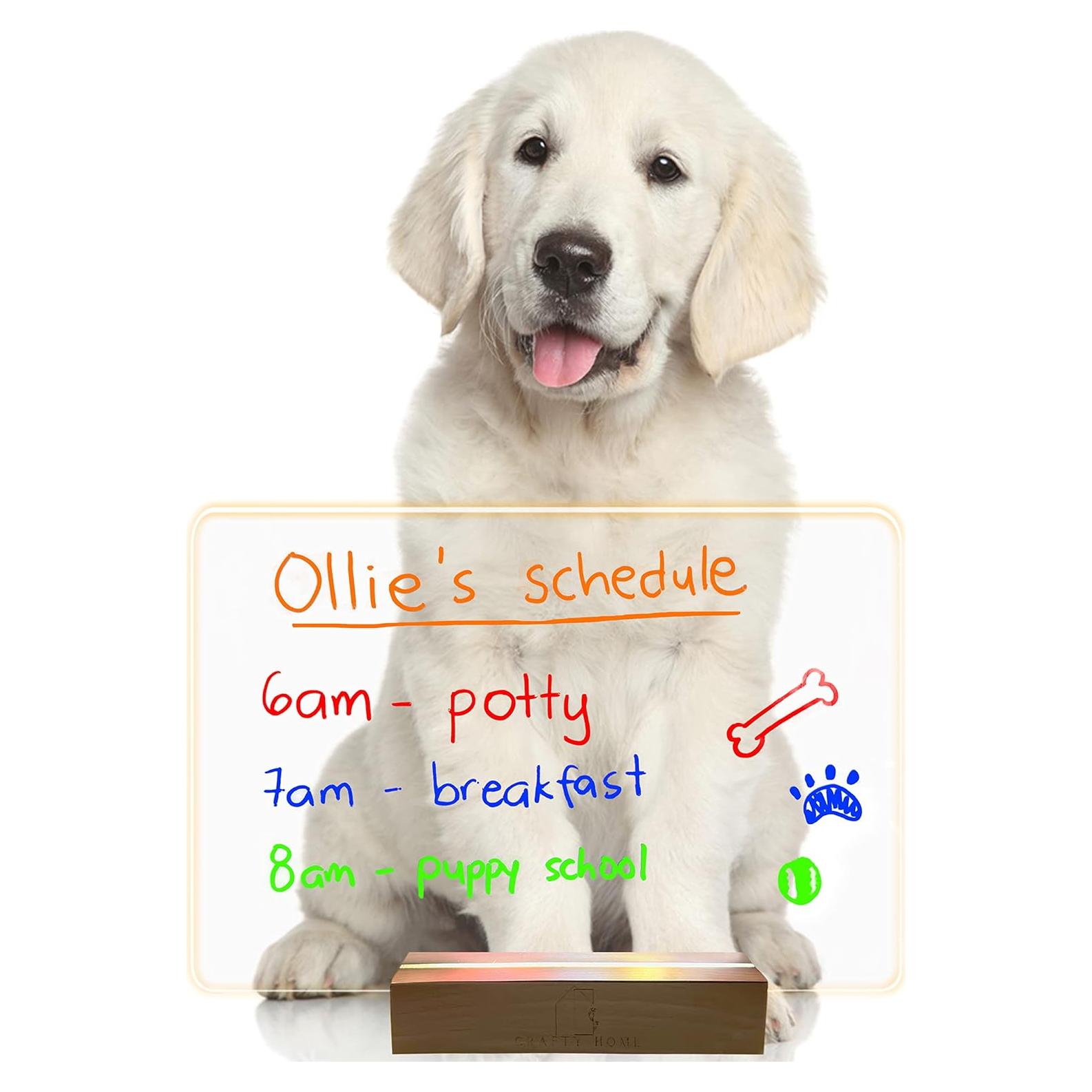 Tablero Acrílico LED Crafty Home 30x20 cm con Lápices de Colores